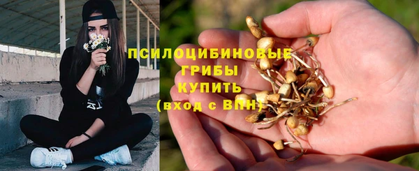 метадон Горняк