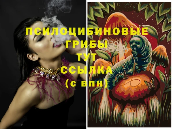 мескалин Гусев