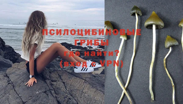 меф VHQ Гусиноозёрск