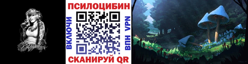 Псилоцибиновые грибы Psilocybine cubensis  Купить  Краснозаводск 
